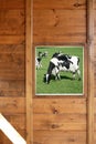 Cow meadow view from wooden window Royalty Free Stock Photo