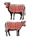 Beef cuts chart. Cow meat cutting diagram for restaurant menu or butcher shop. Farm animal vector illustration Royalty Free Stock Photo