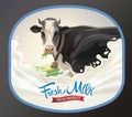 Cow, in frame and splash of milk Royalty Free Stock Photo