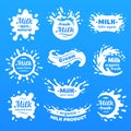 Cow milk splashes with letters. Isolated milks splash for health food store, dairy logo vector label Royalty Free Stock Photo