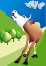 Cow mooing on field Royalty Free Stock Photo