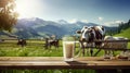 A cow near a wooden table with a glass of milk against the background of a field. Generative AI Royalty Free Stock Photo