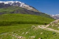 Cow near Xinaliq Khinalug village, Azerbaij