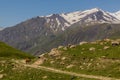 Cow near Xinaliq Khinalug village, Azerbaij