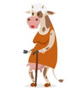 Cow old woman vector portrait illustration on Royalty Free Stock Photo