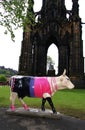 Cow parade sculpture, Edinburgh