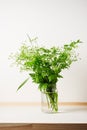 Cow parsley flowers in a glass jar on the table Royalty Free Stock Photo