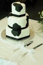 Cow Pattern Wedding Cake