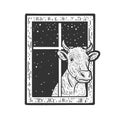 cow peeking out window sketch vector illustration
