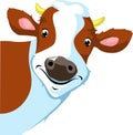 Cow peeking - vector illustration