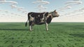 Cow and questions clouds and genetic code on ground