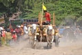 Cow race in Yogyakarta, Indonesia Royalty Free Stock Photo