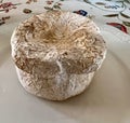 Cow's milk cheese, from Galicia, Spain. One of the many kinds of cheeses in Spain. Royalty Free Stock Photo