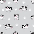 Cow sameless texture pattern. black and white Milk cow template