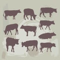 Cow set silhouette on grunge background. vector Royalty Free Stock Photo