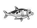 Cow shark animal sketch vector illustration Royalty Free Stock Photo