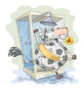 Cow in the Shower