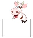 Cow with sign Royalty Free Stock Photo