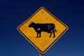 Cow sign with bullet holes Royalty Free Stock Photo
