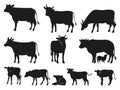 Cow silhouette. Black cows and calf mammal animals vector icons set Royalty Free Stock Photo