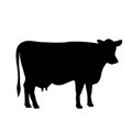 Cow silhouette icon Royalty Free Stock Photo