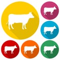 Cow silhouette icons set with long shadow Royalty Free Stock Photo