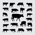 Cow Silhouette. A set of Cow silhouettes Royalty Free Stock Photo