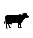Cow silhouette vector Royalty Free Stock Photo
