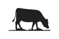 Cow silhouettes on grass. Cow grazing on meadow vector cartoon illustration. Royalty Free Stock Photo