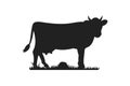 Cow silhouettes on grass. Cow grazing on meadow vector cartoon illustration. Royalty Free Stock Photo