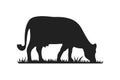 Cow silhouettes on grass. Cow grazing on meadow vector cartoon illustration. Royalty Free Stock Photo