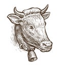 Cow sketch. Hand drawn farm animal vintage vector illustration Royalty Free Stock Photo