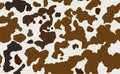Cow skin in brown and white spotted, seamless pattern, animal texture Royalty Free Stock Photo