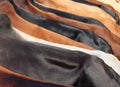 Cow skin surfaces Royalty Free Stock Photo