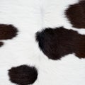 Cow skin texture