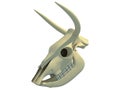 Cow Skull animal 3D rendering