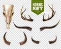 Cow Skull And Horns Set Royalty Free Stock Photo