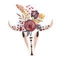 Cow Skull. Skull with flowers. Animal head in boho, tribal or ethnic style.