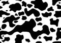 Cow spots pattern. Black and white. Animal print, cow skin texture. Seamless vector background.