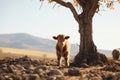 a cow standing next to a tree in a field Royalty Free Stock Photo