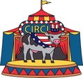 A cow is standing on a stage in front of a circus tent Royalty Free Stock Photo