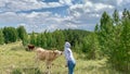 Girl stroking a cow on the nose in the forest. Animal care Royalty Free Stock Photo