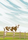 A cow stands behind a low wooden fence in a green meadow. Agriculture and animal husbandry