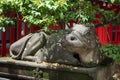 Lying cow in Fukuoka Suikyo Tenmangu Shrine Royalty Free Stock Photo