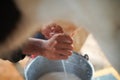 Cow teat being milked in dairy farm. milking of cattle