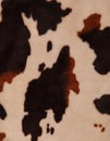 Cow texture background Royalty Free Stock Photo