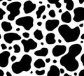 Cow texture pattern repeated seamless black and white animal jungle print spot skin fur Royalty Free Stock Photo