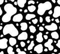 Cow texture pattern repeated seamless black and white lactic chocolate animal jungle print spot skin fur