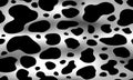 cow texture pattern repeated seamless black and white spot skin fur. Royalty Free Stock Photo