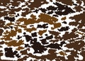 Cow texture pattern repeated seamless brown black and white lactic chocolate animal jungle print spot skin fur milk day Royalty Free Stock Photo